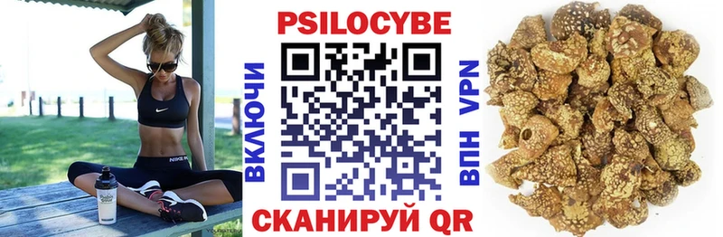 Псилоцибиновые грибы Cubensis  OMG ТОР  Чусовой 