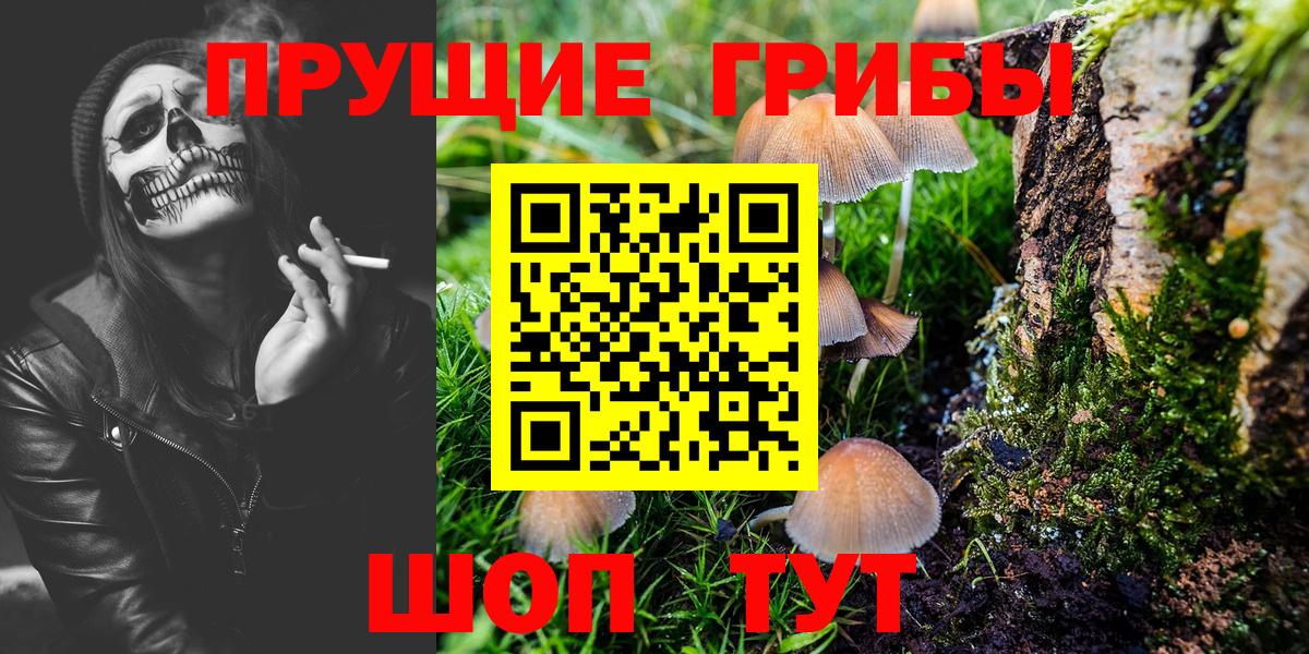Галлюциногенные грибы прущие грибы  Псилоцибиновые грибы Cubensis  Чусовой  Вход с VPN 