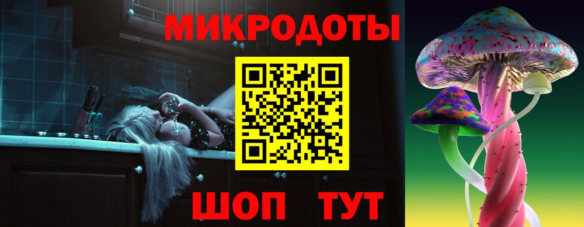 Галлюциногенные грибы Psilocybe Чусовой